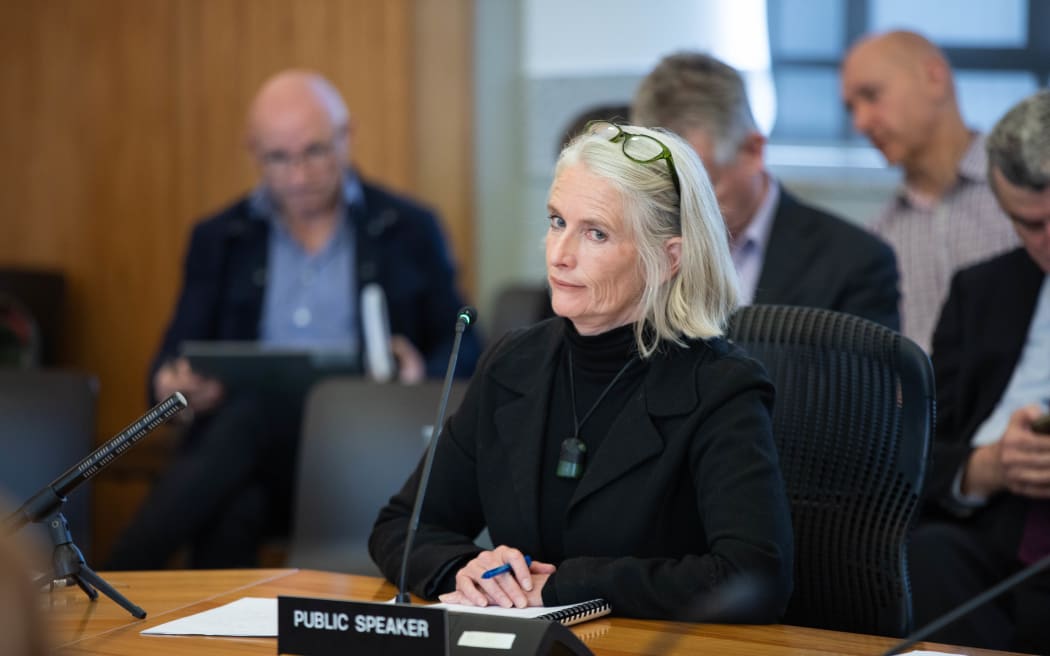 An independent report reveals Wellington Water staff took four months to tell the region's councils about an error in budgeting advice, which has left the councils with a bill of $51 million over three years.