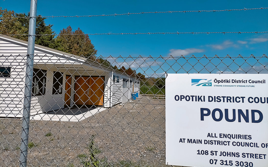 09/03/22
Saved: Processed folder March 13/Opotiki stockshots
Photo supplied