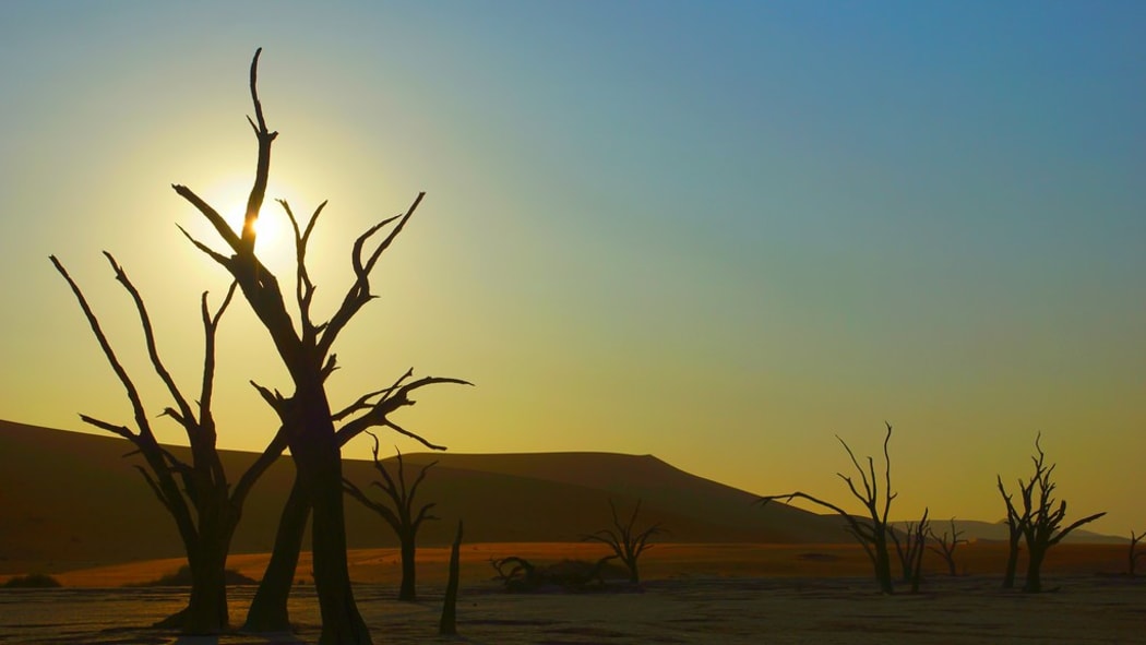 Deadvlei, Namib Desert, Namibia