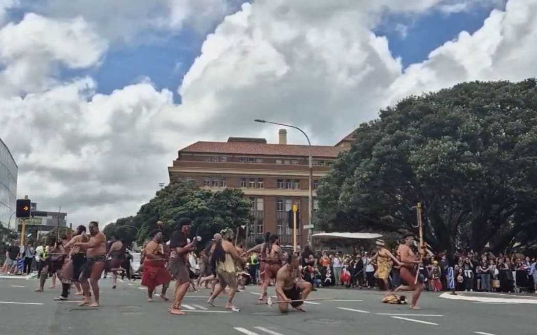 A traffic-stopping haka broke out on a Wellington road as thousands took part in a hīkoi to Parliament.