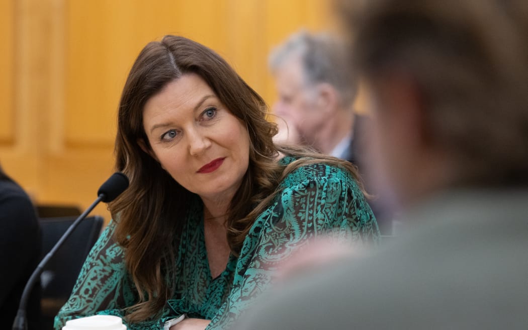 Labour MP Jo Luxton hears evidence before the select committee.