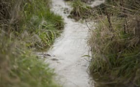 FOR WATER TAX story - Generic water from farm