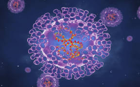 Pox virus which includes monkeypox virus, smallpox
