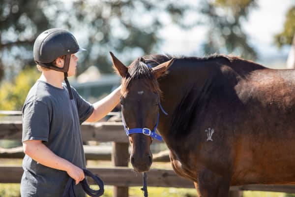 Global Currency being petted at AnnaRehab.