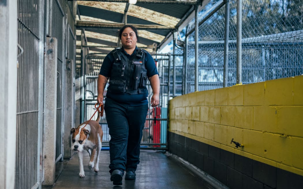 Dog control officer