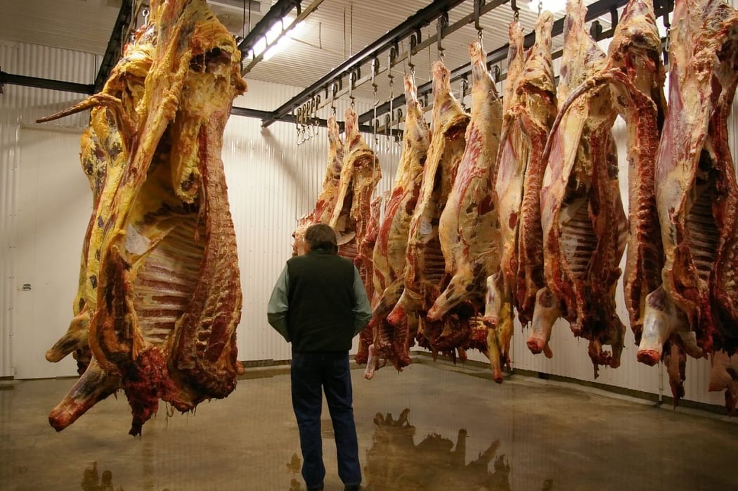 Meat hanging in cooler room