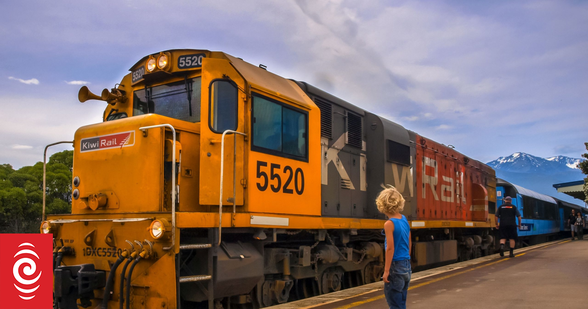 Competing Otago Port proposals 'frustrating', says Associate Regional ...