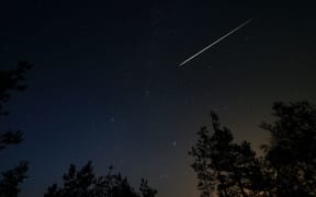 Night scene with starry sky and meteorite trail over forest. Long exposure shoot