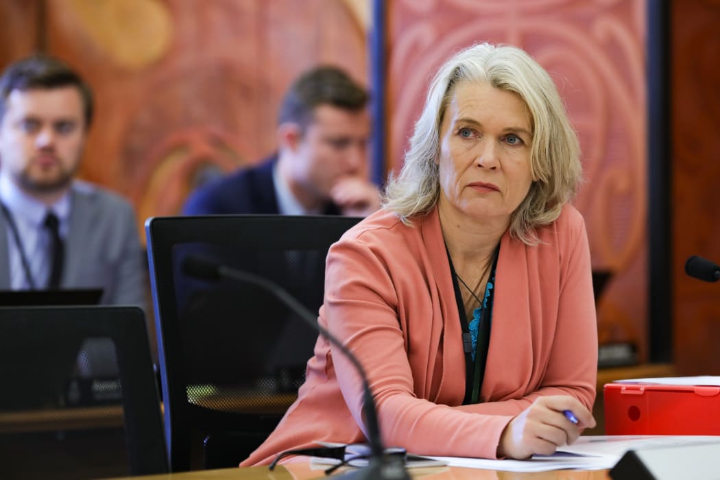 Labour MP Ingrid Leary in select committee
