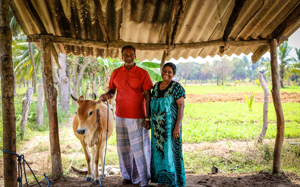 Dairy programme in Sri Lanka