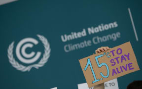 United Nations climate summit COP29 in Baku, Azerbaijan. 20 November 2024