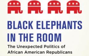 Black Elephants in the Room