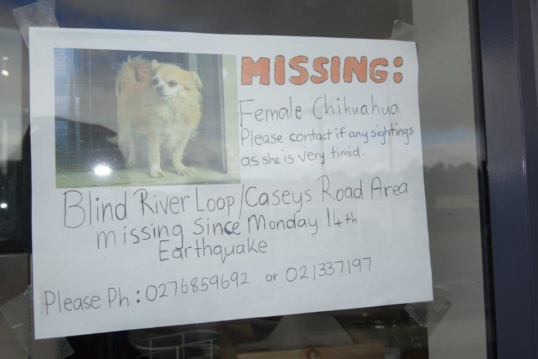 lost dog sign