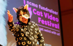 The Cat Video Festival is a fundraiser for NCMA