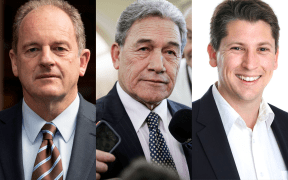 Left to right: David Shearer, Winston Peters, Michael Wood