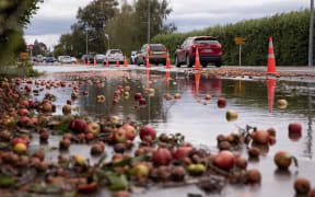 A flooded orchard and apples strewn over the road just outside Hastings.