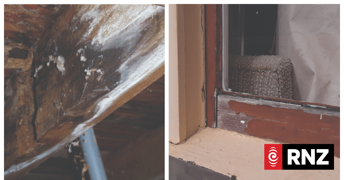 90% of New Zealand homes in need of immedate maintenance - RNZ
