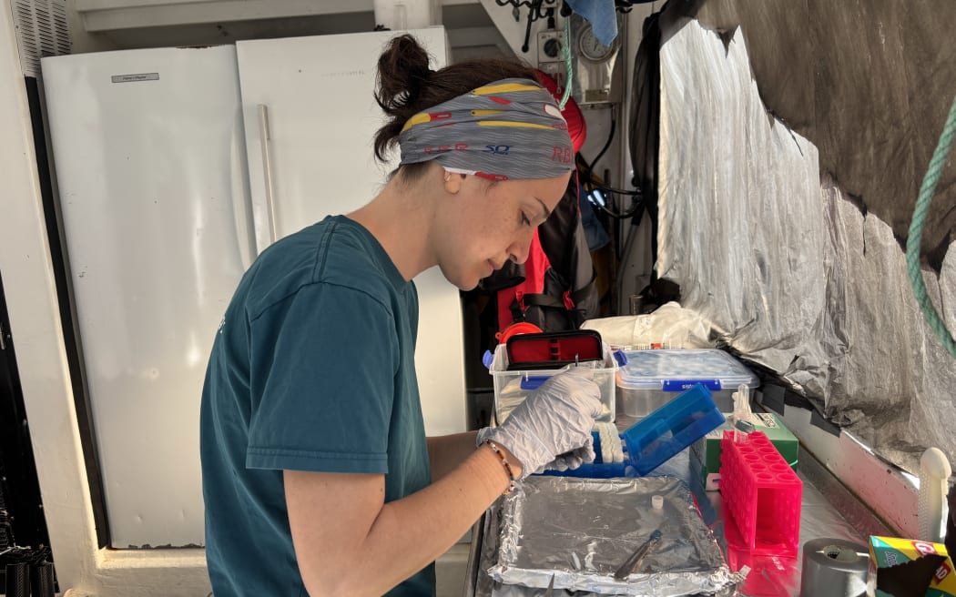 A woman with her hair tied back wearing a headband and a t-shirt stands over a lab bench, with gloved hands using tweezers to manipulate a sample in an Eppendorf tube. There is a tray covered in tinfoil on the lab bench, a scalpel, pair of scissors, and test tube trays.