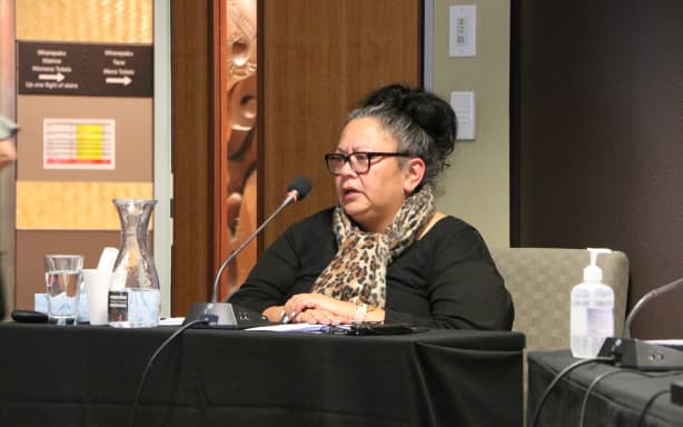Social worker Rhonda Tautari told the Tribunal that she was there to speak for the tamariki and teenage mother’s she works with - 80 percent of which are Māori.