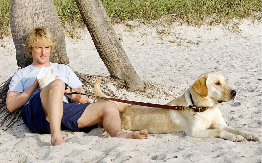 A scene from Marley & Me.