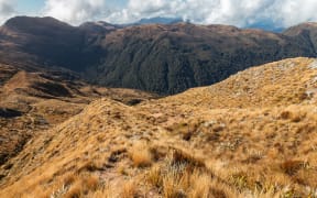 Paparoa National Park.