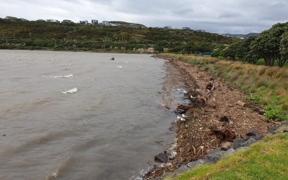 Ngāti Toa Rangatira placed a two-week rāhui on Te Awarua o Porirua after sewage spills.