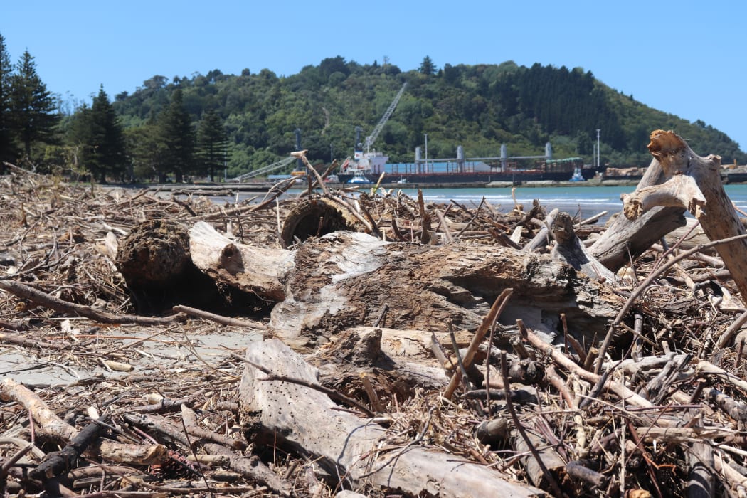 Wood strewn across the beachline looking out across Waikanae Beach towards Eastland Port.