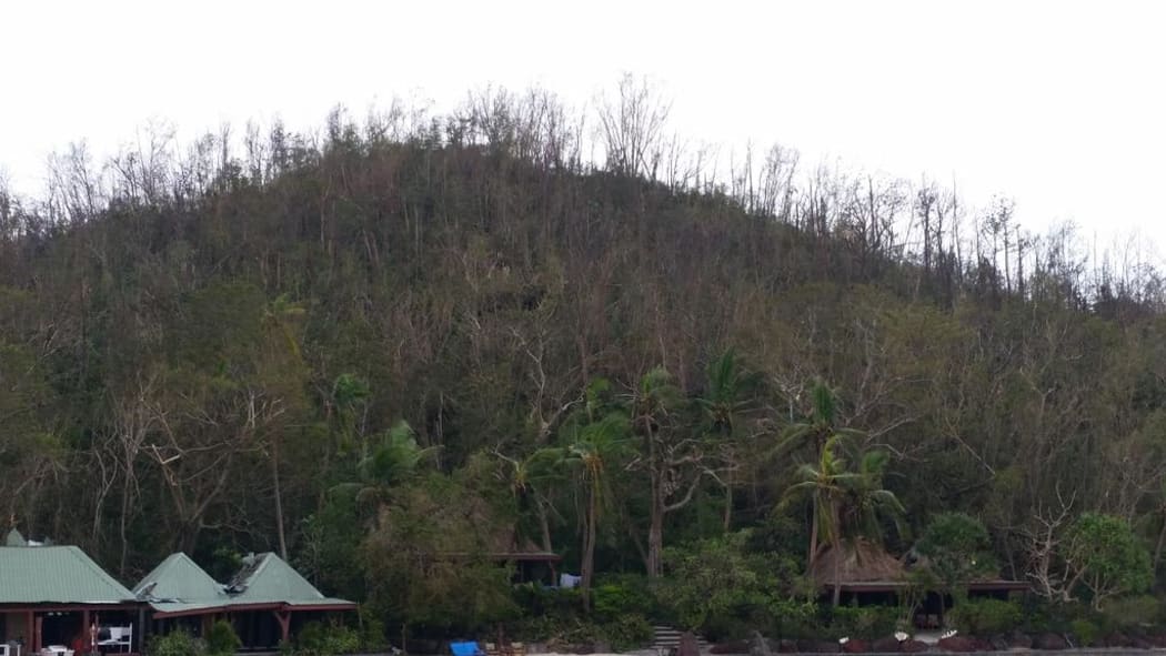 Trees without leaves at Turtle Island Resort in the Yasawas after Cyclone Winston.