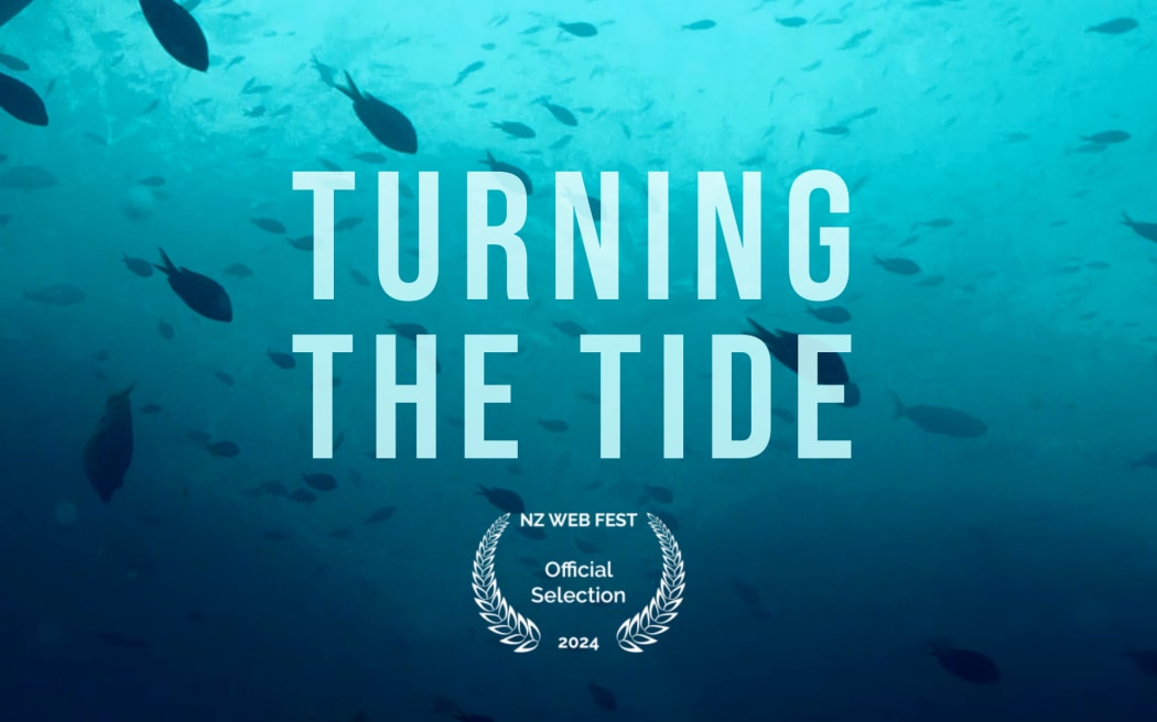 Underwater scene with fish swimming. Text reads "Turning The Tide: The state of our seas"
Underneath is a laurel with the text “NZ web festival official selection 2024”
