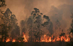 A fire rages in Bobin, 350km north of Sydney on 9 November.