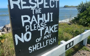 The rāhui has largely held for four years but there's been illegal taking of kaimoana including by headtorch at night. (Te Korimako o Taranaki file)