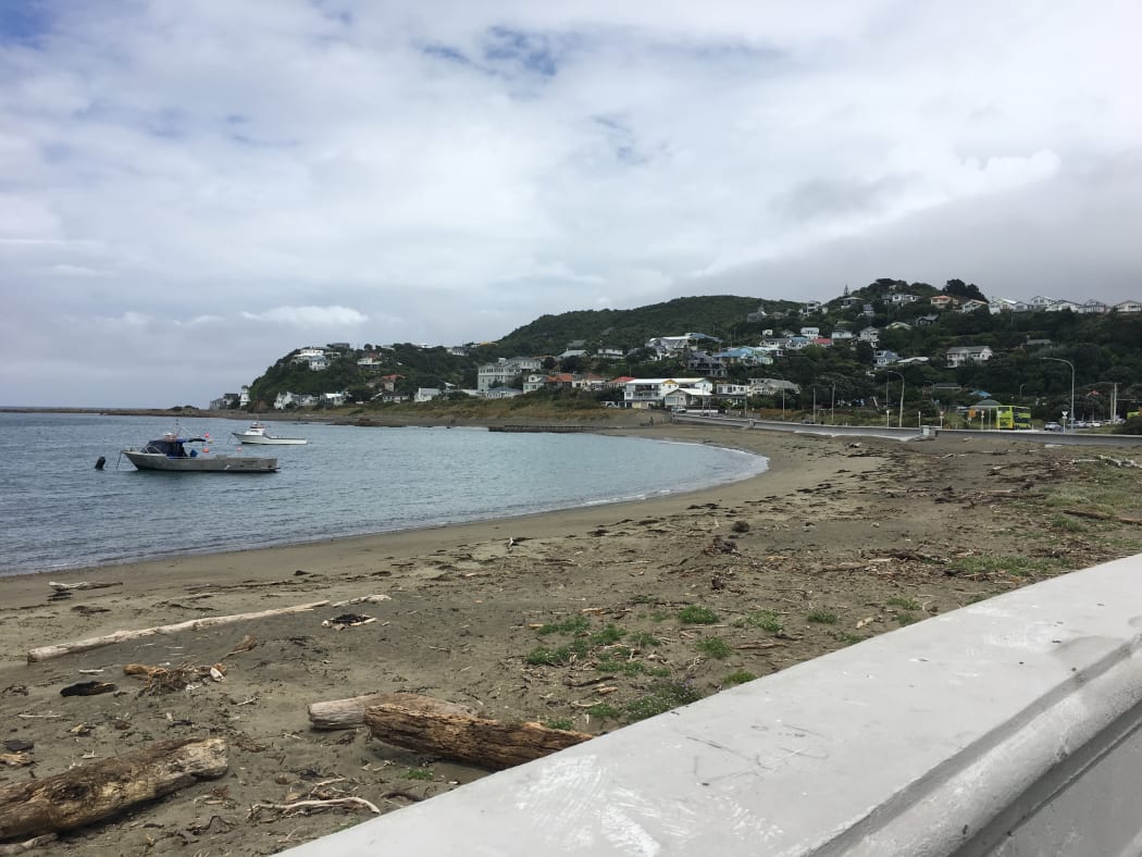 Island Bay.