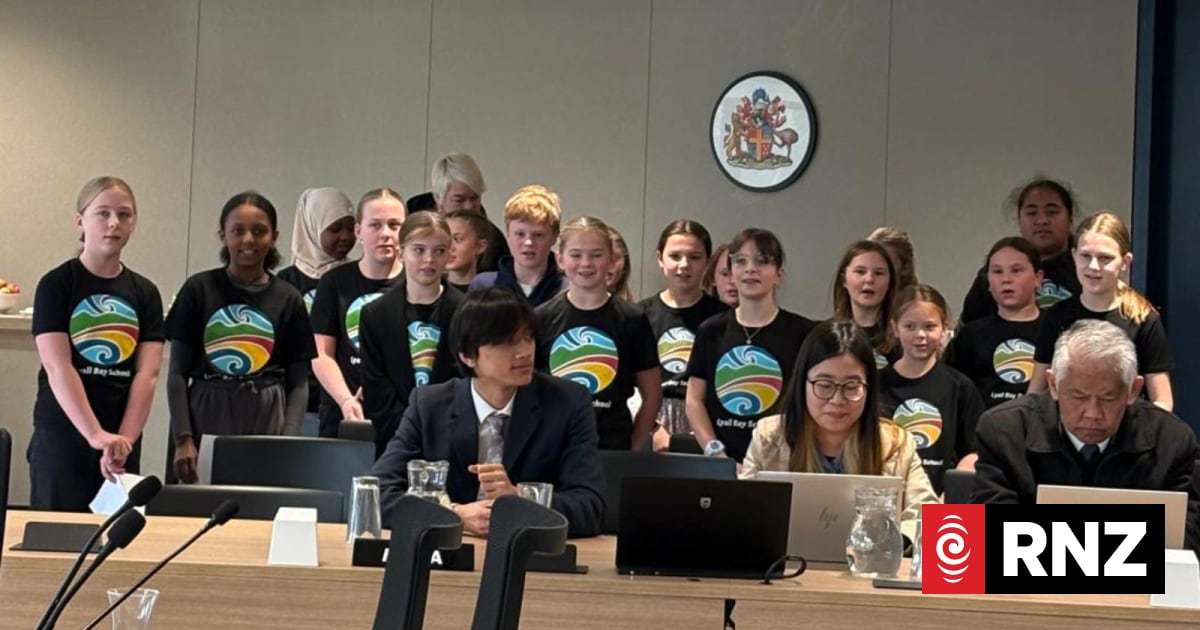 Primary school students sway Wellington City Council on road safety measures