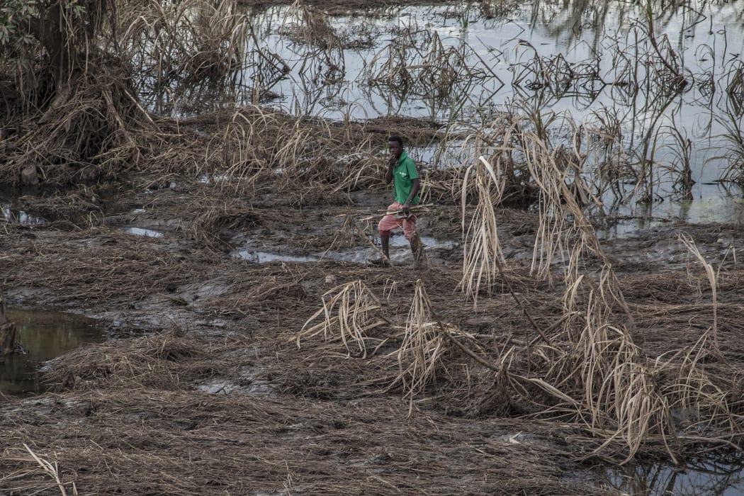 A boy walks in a maize field destroyed by floods in Chikwawa district, Southern Malawi, on March 15, 2019.