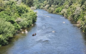 A customary activities provision has enabled the Tira Hoe Waka to make the Whanganui River journey without any other activities or users on the river, banks and campsites. Photo: Moana Ellis (single use only)