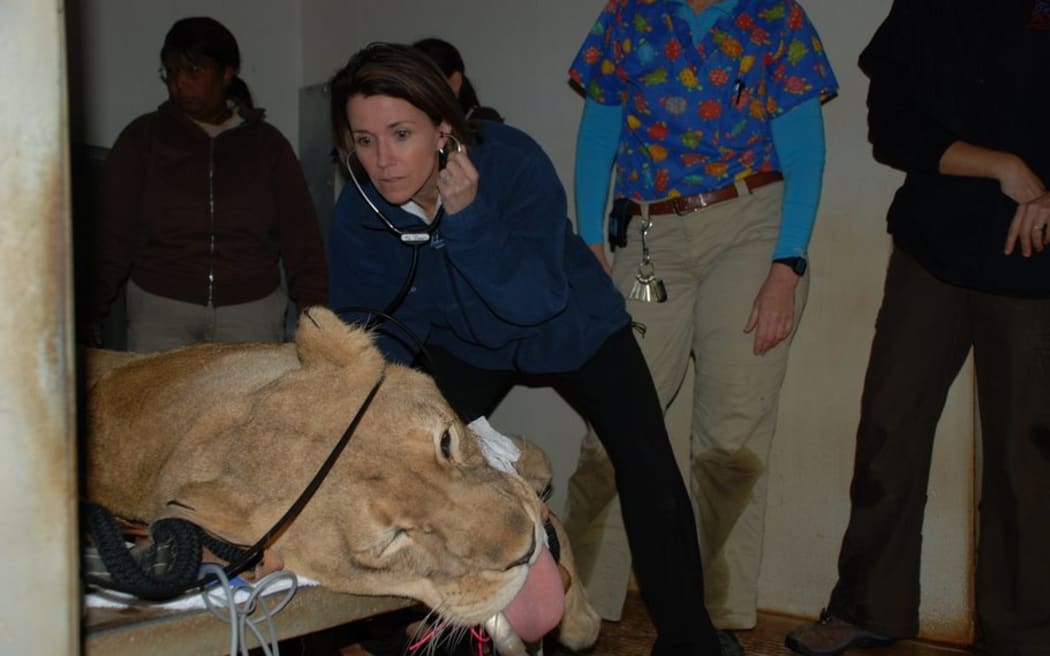 Barbara Natterson-Horowitz with a lion