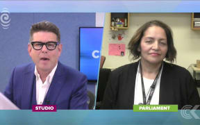 Maori Party won't support Helen Clark in UN bid