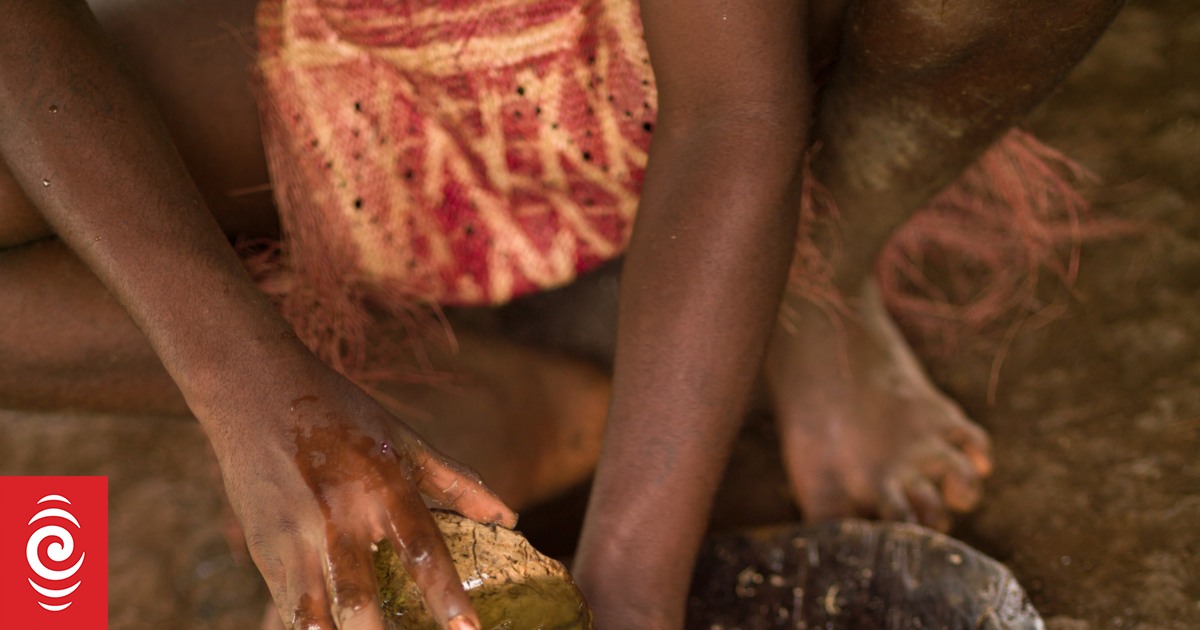 Reports Kava is being commercially grown in US | RNZ
