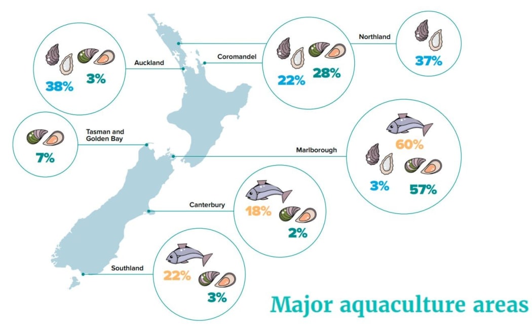 New Zealand's salmon and mussels produce.