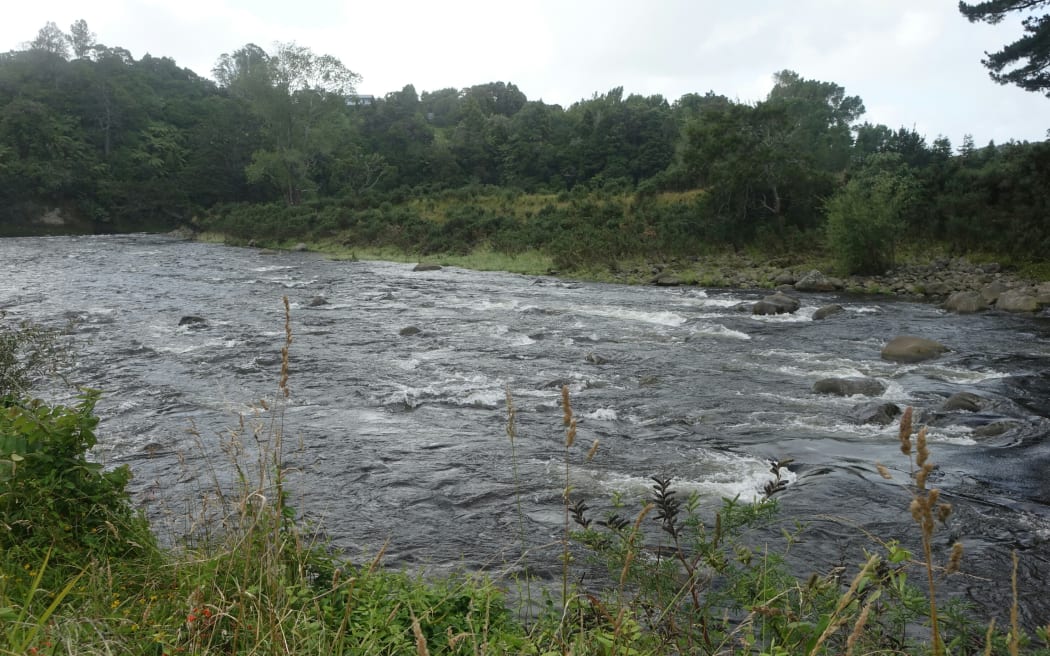 Waiwhakaiho River, as seen on January 23.