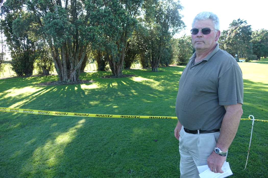 President of the Manukorihi Golf Club, David Butler, fears in a worst case scenario infected pohutukawa trees at the course may have to be removed.