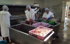 Kerry and Raewyn at Agri-lab sorting through foal placentas.