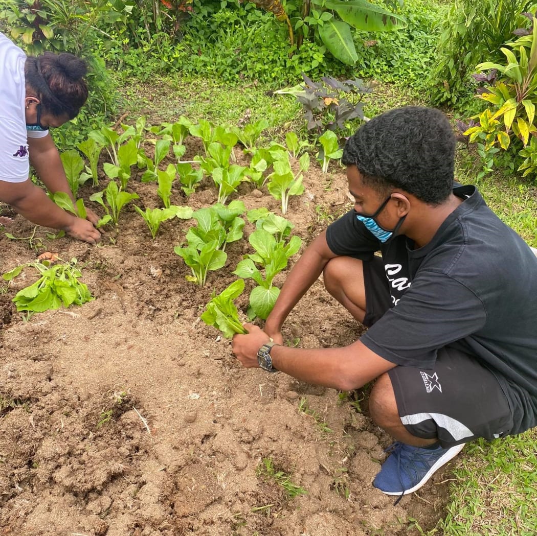 Fijians have been urged to plant to feed their families amid the Covid-19 pandemic.