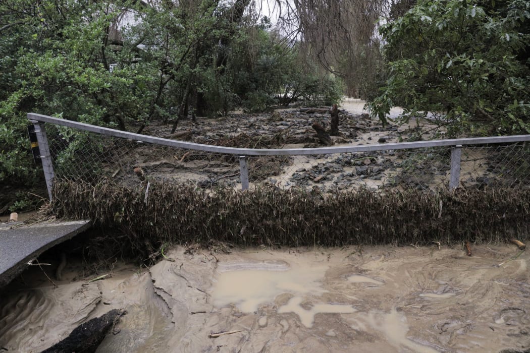 Scene near Buller River