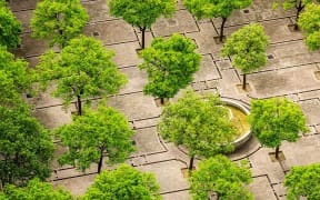 Bringing nature back to urban areas.