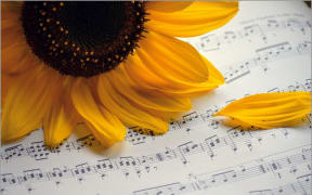 Sunflower on sheet of music