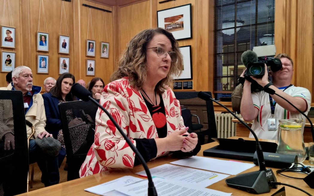 Jan Tinetti at the Privileges Committee hearing.