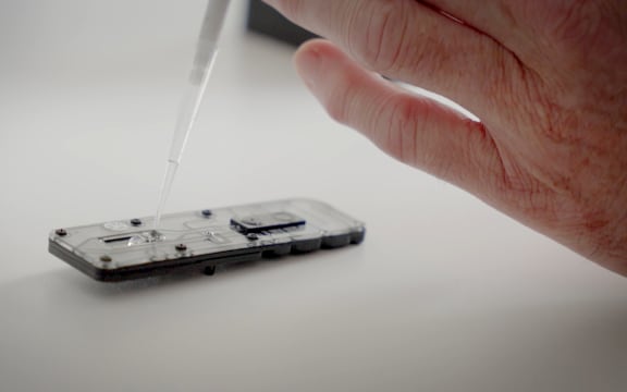A close up of a hand using a pipette to drop clear liquid into a small plastic rectangular device.