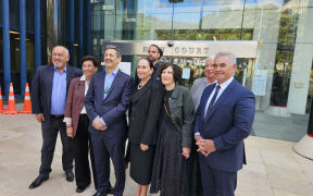 Members of the Wai Manawa Whenua coalition outside the High Court in Wellington.
