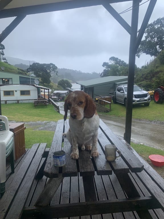 Waitete Bay, Coromandel.